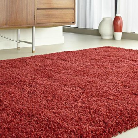 Luxury Shaggy 1